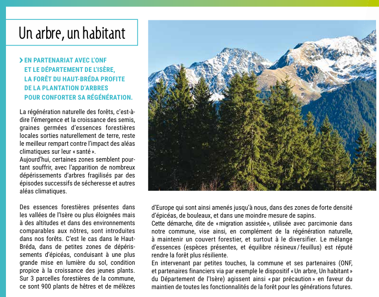Appui à la rédaction d'articles pour les bulletins municipaux -Haut Bréda janvier 2025
