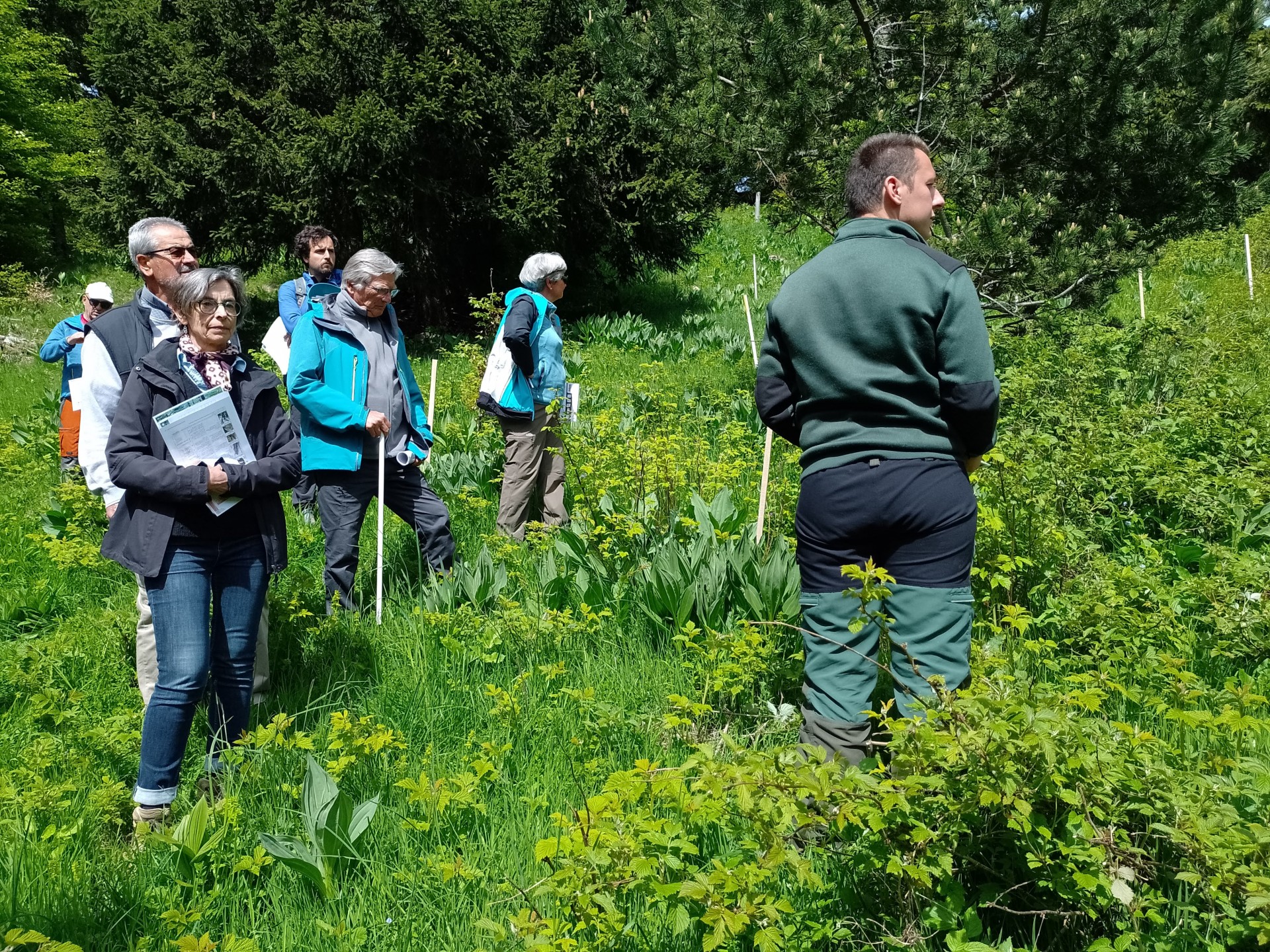 Formation/visite de terrain en forêt communale d'Autrans Méaudre le 27 mai 2025