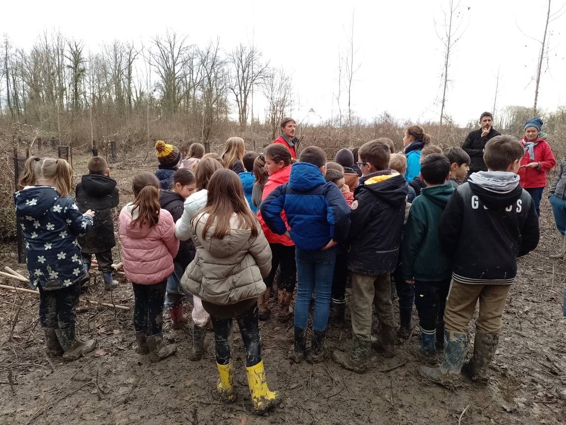 Animation scolaire à Brangues en 2025